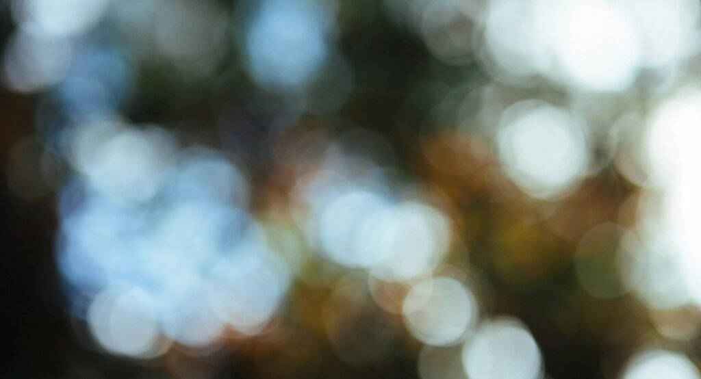 Saltmarsh Dance of Jacksonville - Featured Image